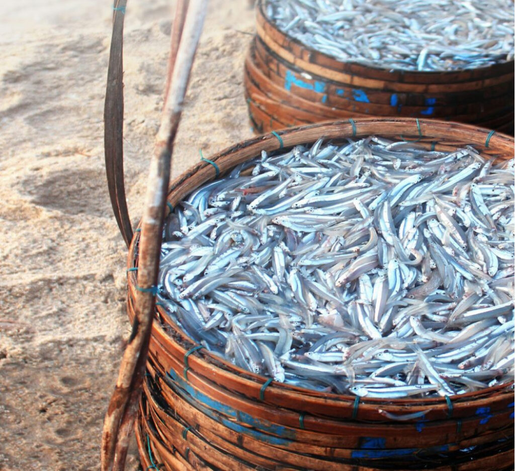 nuoc-mam-phan-thiet