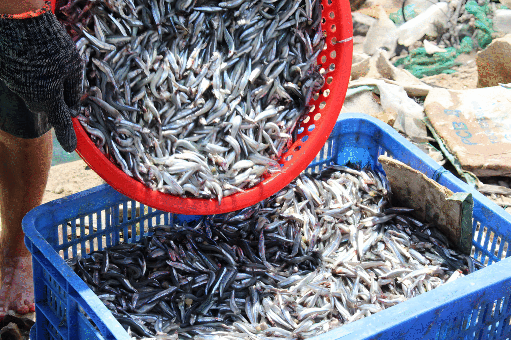 nuoc-mam-phan-thiet